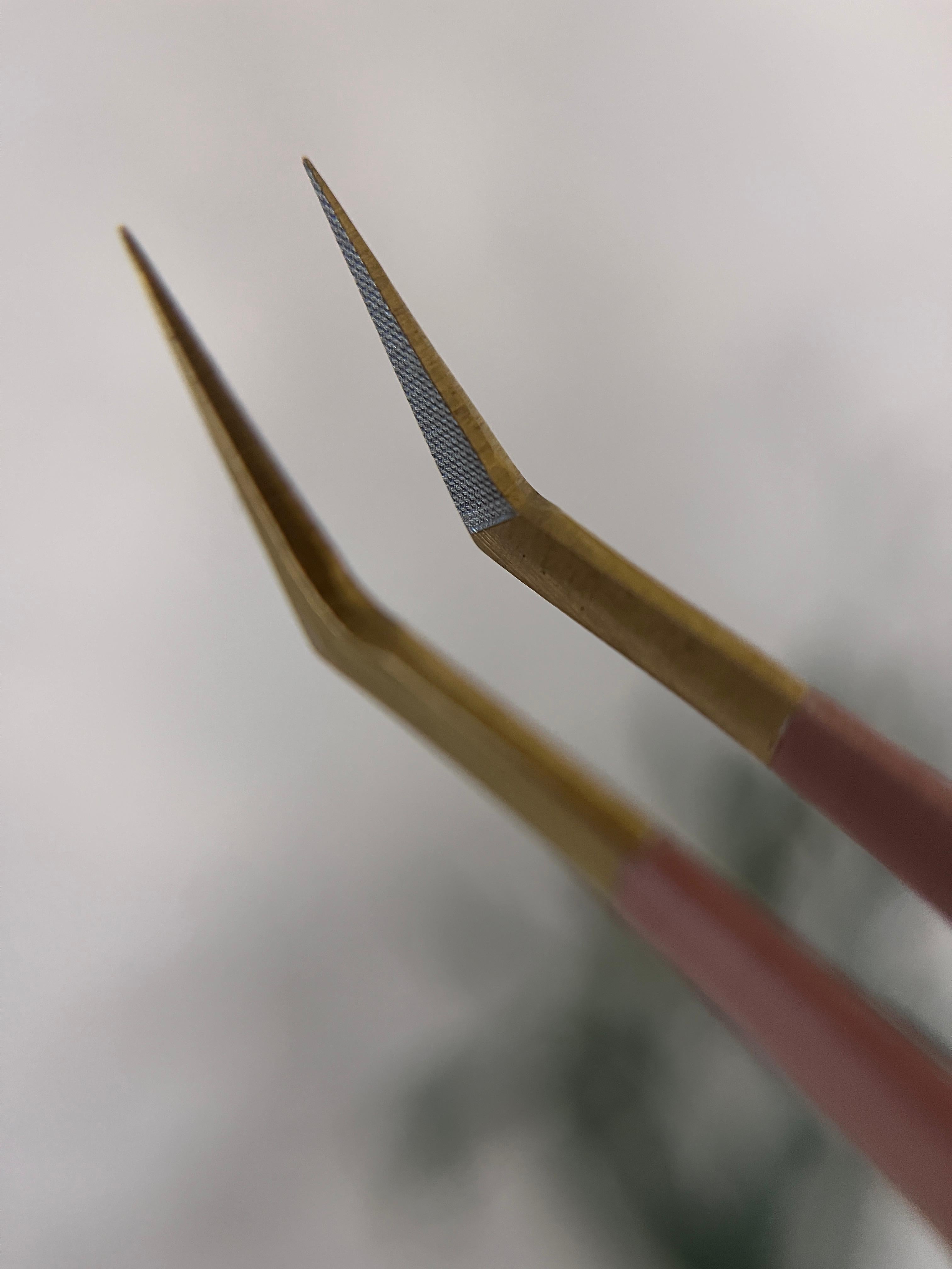 Vanta