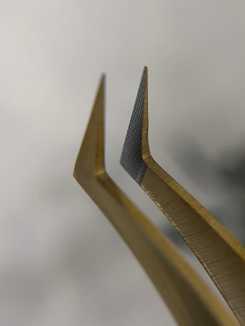 Elite